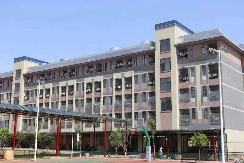 新田德恒实验学校·2026招生简章