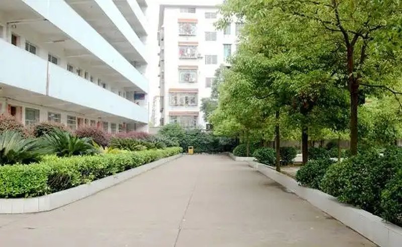 2026专属｜邵东创新国际实验学校招生简章