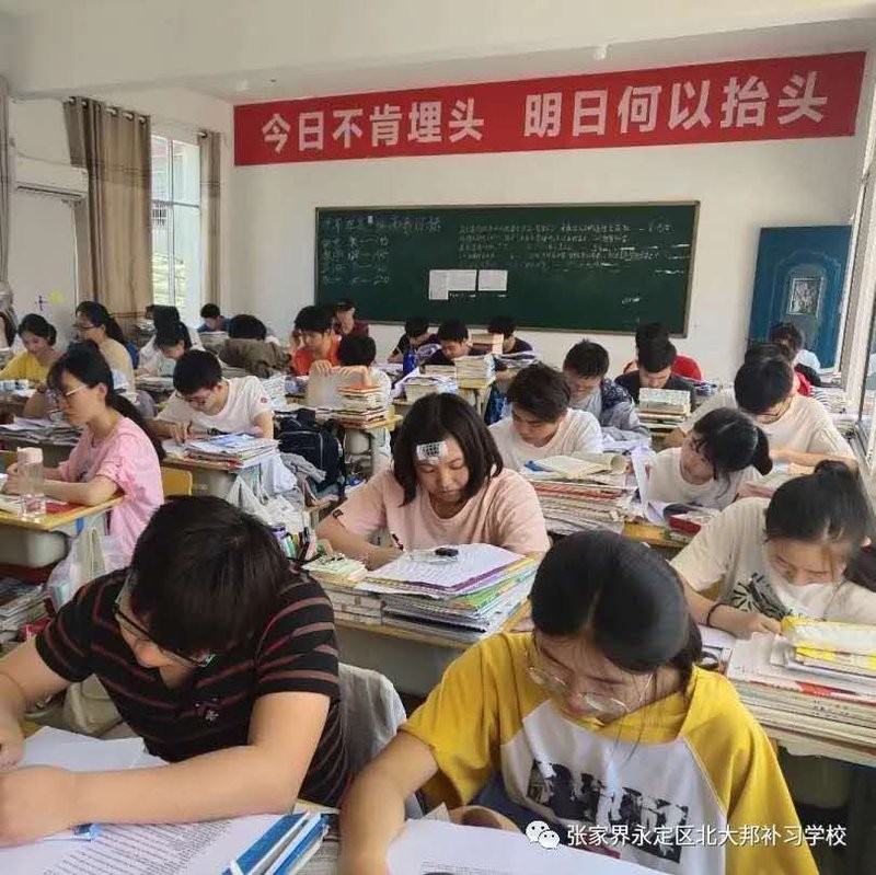 2026 张家界北大邦学校 招生简章