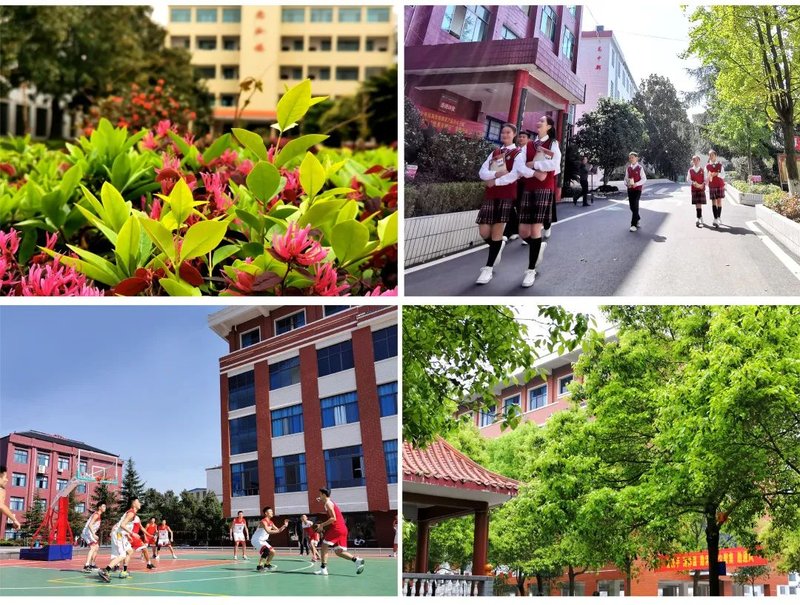 武冈市富田中学2026年招生简章是什么？