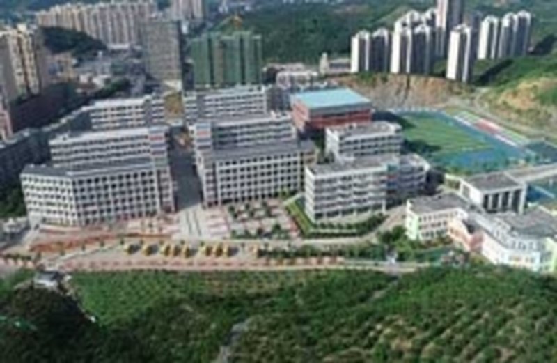 永兴县五星学校2026年度招生简章