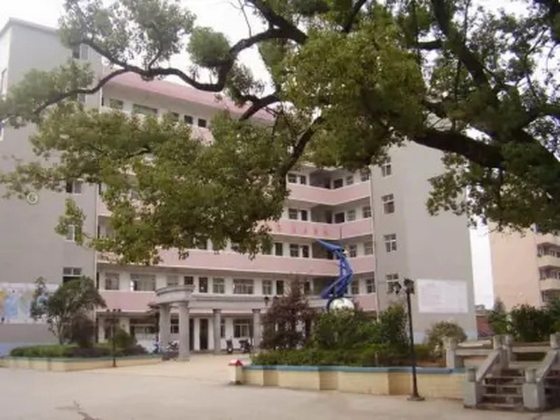 2026，耒阳市振兴学校招生简章新鲜发布！